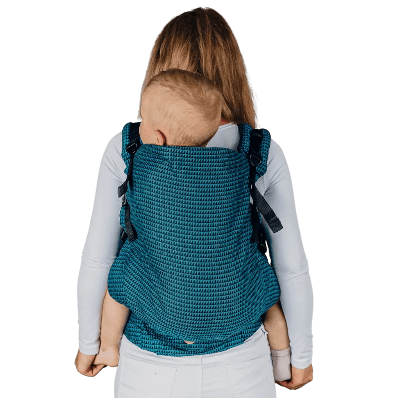 Tanzanite LennyPreschool Carrier