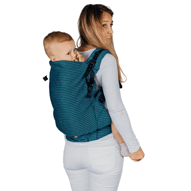 Tanzanite LennyPreschool Carrier by LennyLamb - Buckle CarrierLittle Zen One5907557752732