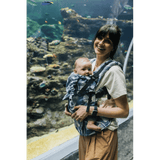 Viridiflora Royal Baby LennyUpGrade by LennyLamb - Buckle CarrierLittle Zen One01978192