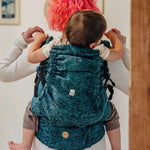 Wild Wine Ivy LennyPreschool Carrier