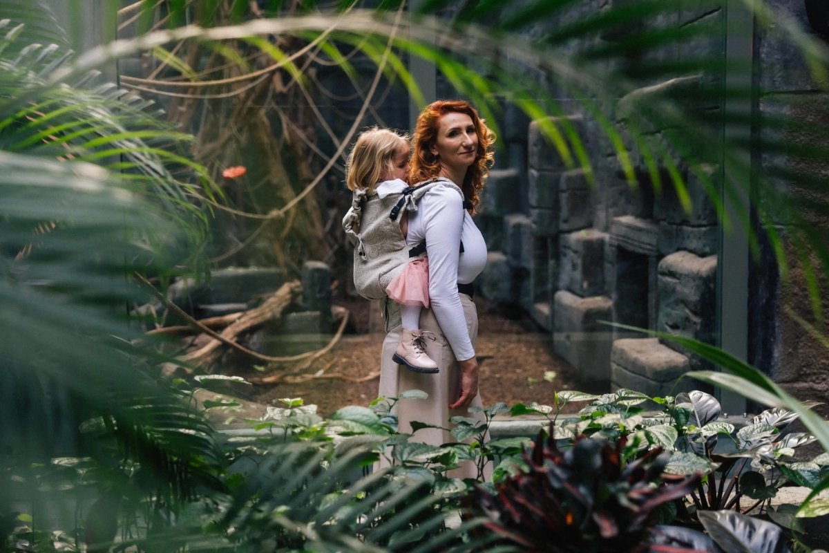 Wild Wine Path LennyPreschool Carrier by LennyLamb - Buckle CarrierLittle Zen One79996752