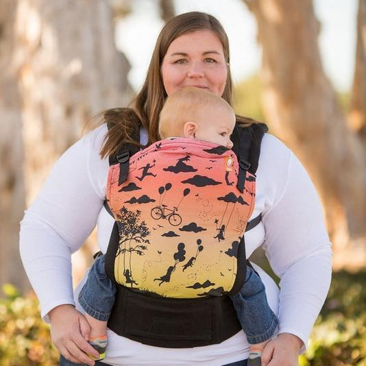 Daydreamer Spring Equinox Tula Standard Baby Carrier-Buckle Carrier-Baby Tula-canada and usa-Little Zen One-2