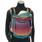 Facets of Babywearing DidyFix by Didymos - Buckle CarrierLittle Zen One4048554343682