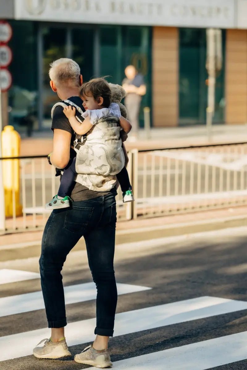 Jurassic Park Ice Desert LennyPreschool Carrier by LennyLamb - Buckle CarrierLittle Zen One5907557782142