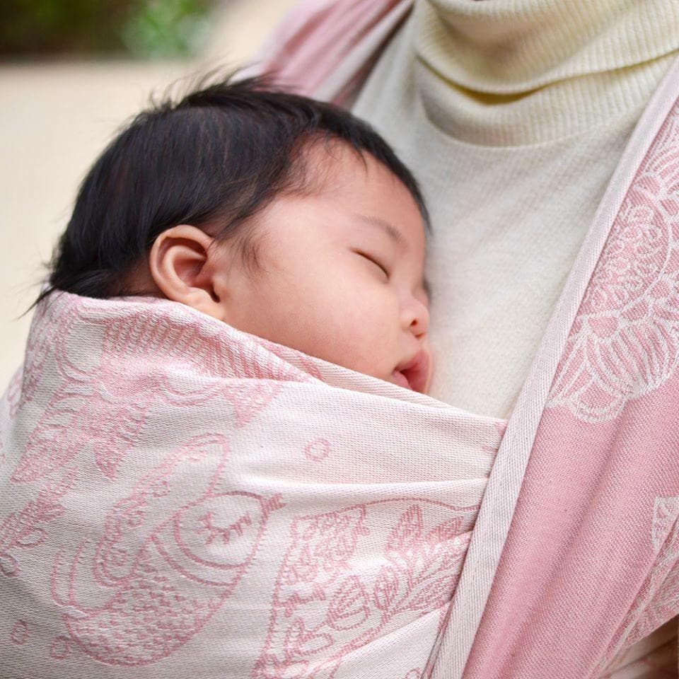 Magic Fairy Forest Woven Wrap by Didymos - Woven WrapLittle Zen One