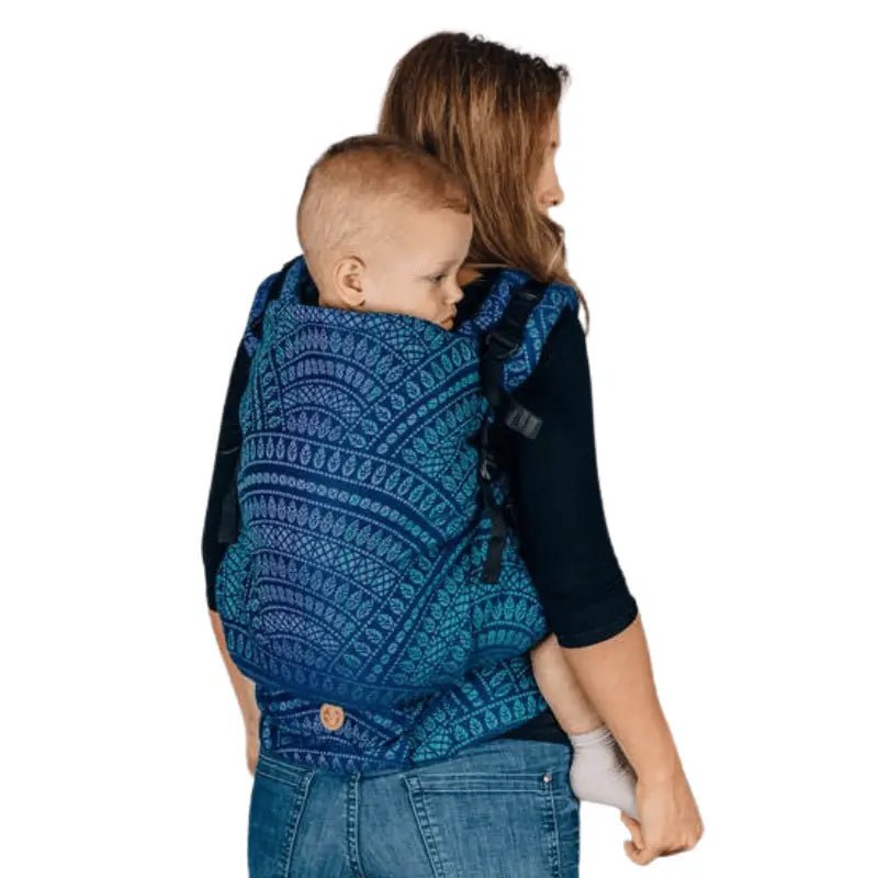 Peacocks Tail Provance LennyPreschool Carrier