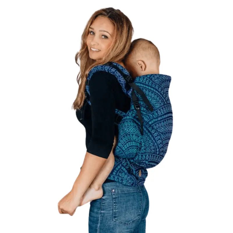 Peacocks Tail Provance LennyPreschool Carrier