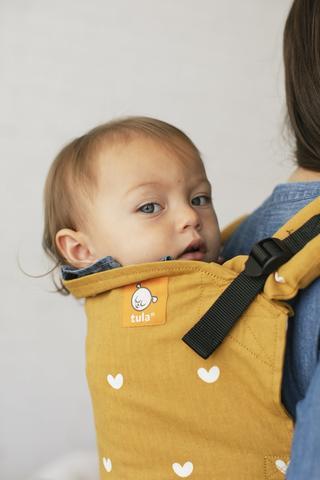 Play Tula Standard Baby Carrier - Buckle CarrierLittle Zen One4147839295