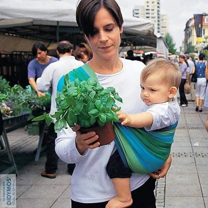 Stripes Iris Woven Wrap by Didymos - Woven WrapLittle Zen One4048554308025