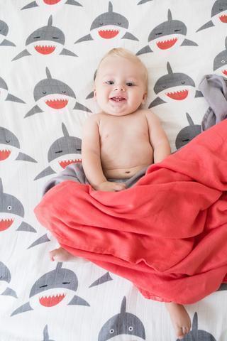 Tula Blanket Set - Chomp - Baby Carrier AccessoriesLittle Zen One