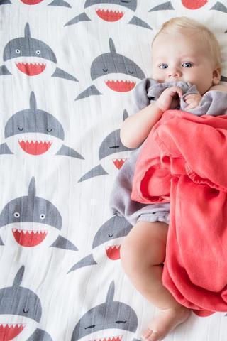 Tula Blanket Set - Chomp - Baby Carrier AccessoriesLittle Zen One