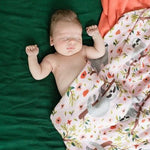 Tula Blanket Set - Just Hanging - Baby Carrier AccessoriesLittle Zen One